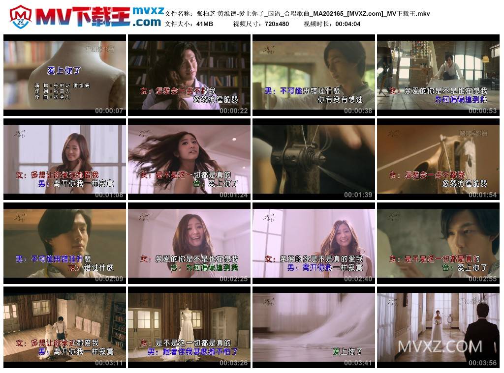 张柏芝 黄维德-爱上你了_国语_合唱歌曲_MA202165